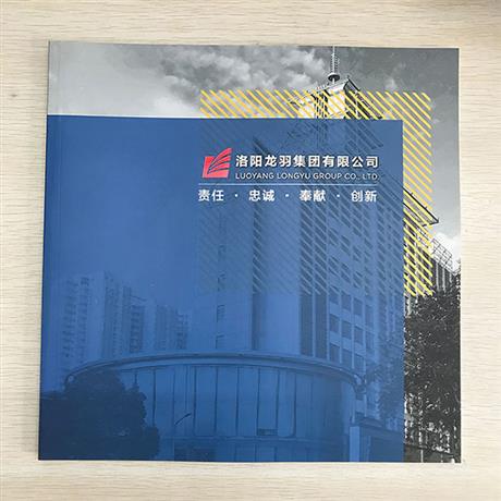 龙羽集团画册